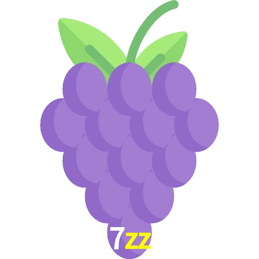 7zz